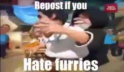 re post if you hate furries