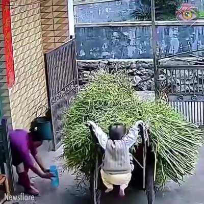 I'll just see what this does...