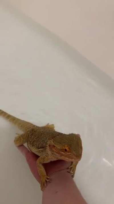 He decides when he wants out lol we just provide the on call service