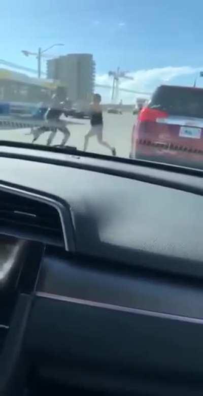 Taking a woman's dog and swinging it as a weapon