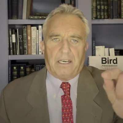 Message for 2022: Three things to remember at this critical time from RFK, Jr.