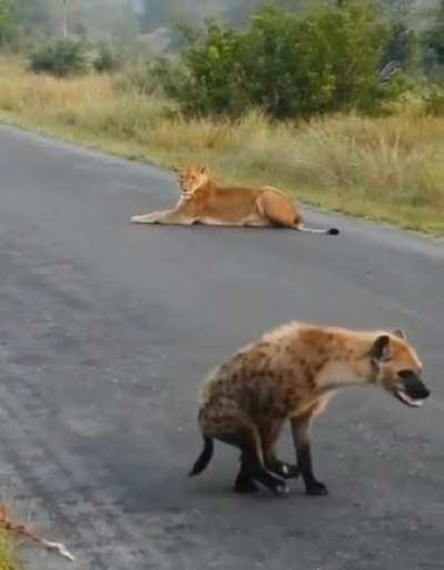 “I’m invisible I’m invisible…la la la la”