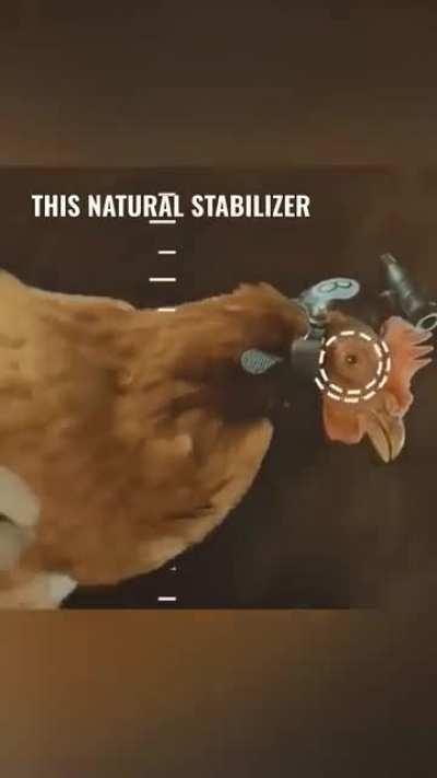 A better camera stabilizer...