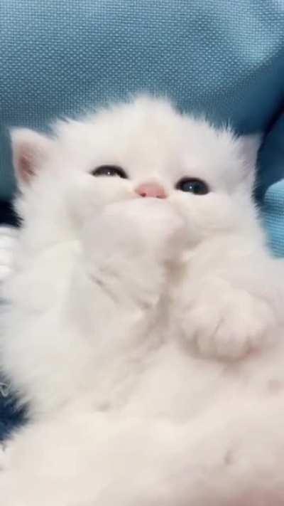 Endless cuteness ❤