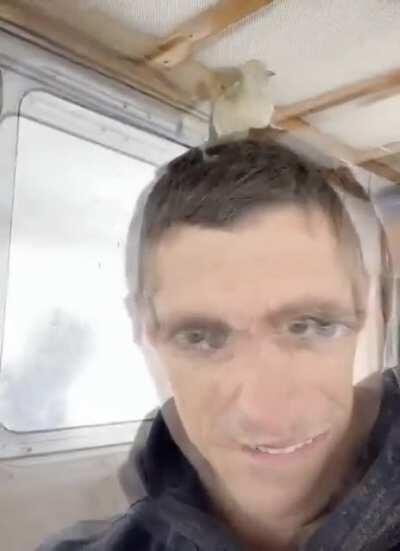 my BF sent me this video and i almost cried! What kinda bird is this cutie?