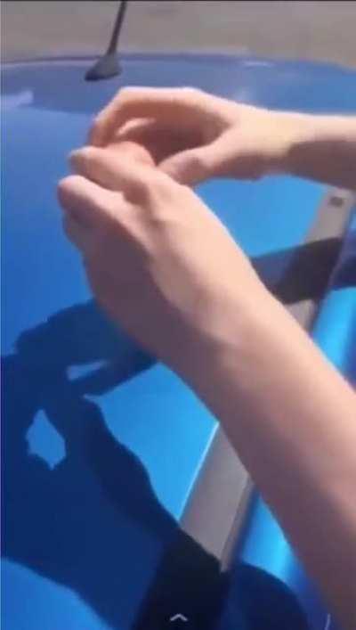 Frying an egg on a car roof