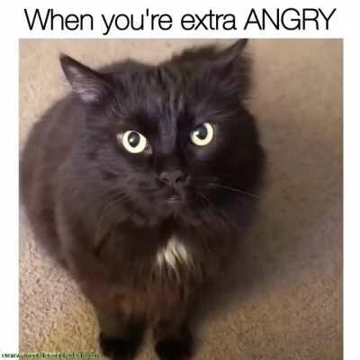When you’re extra ANGRY