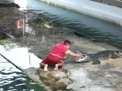 HMB, while I play with a croc!