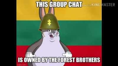 Context: forest brothers was the Lithuanian resistance fighting the Soviet Union from 1944 - 1953