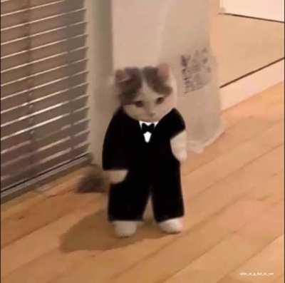 Raw pics, feel free to screenshot