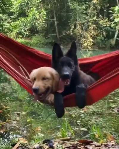 you can't get much more relaxed than this..