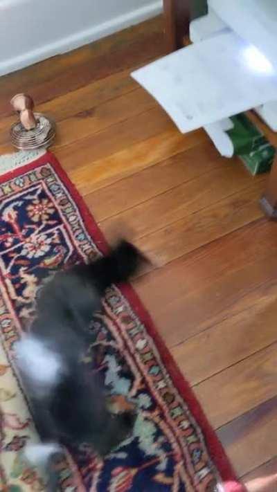 Printer sends Junebug into another dimension