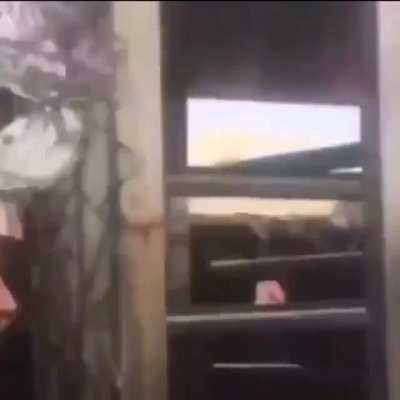 Afghan girl begs US Forces to save her from Taliban 😔