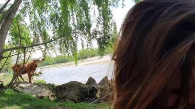 blowjob lover outdoors