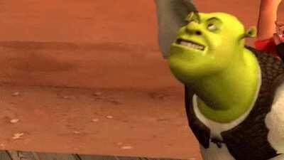 Dm for quality shrek hentai