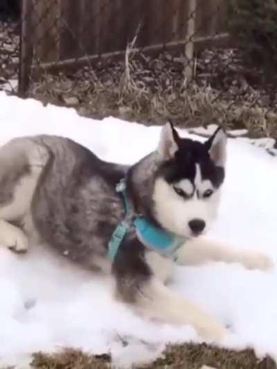 Life could be dream :)