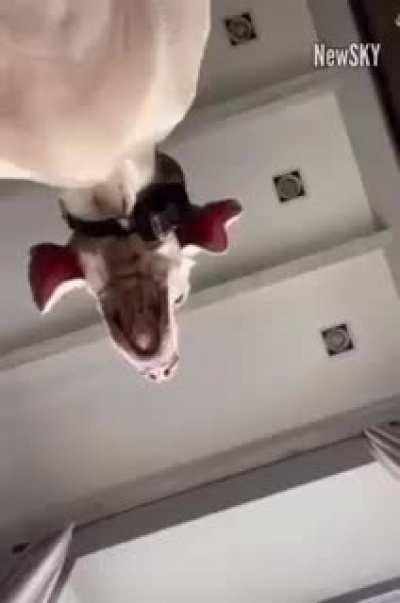 These lips don't lie