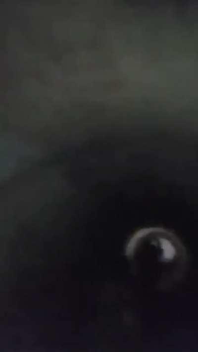 Não sei porque postei isso skskksk.