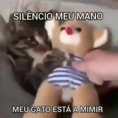 SILÊNCIO MEU MANO MEU ESTA A MIMIR