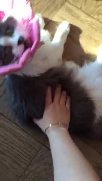 lil startle big sound