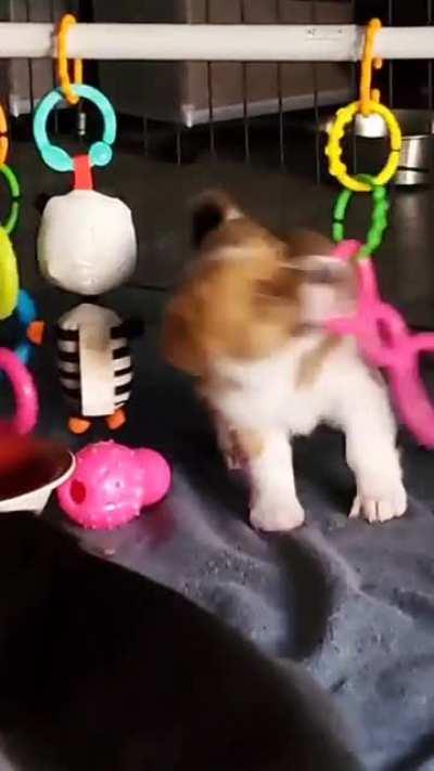 She chose violence today