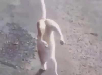 StoppedWorking - Video #5448