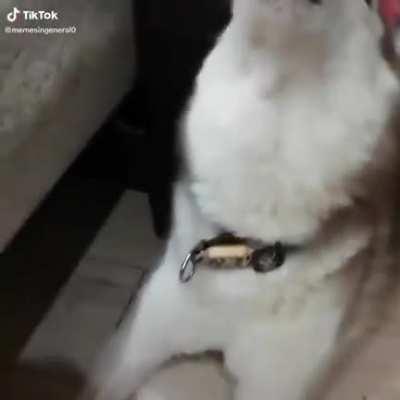 ok that howling is a bit weird