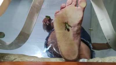 BBW ~ BIG-BOSSY-WOMEN 🪳((👣))