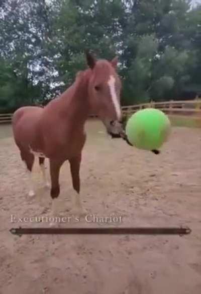 Take your balls back human.