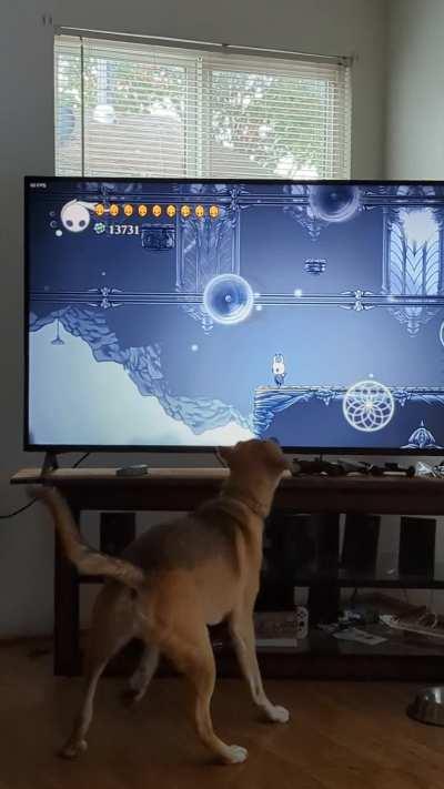 I almost can't play this game when he's in the house