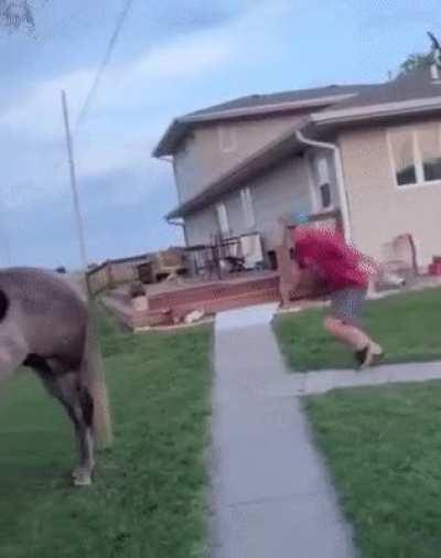 Yah...not trying that again.