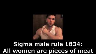 This inspired by the post u/ankan_routh made it's a sigma male meme hope you like it