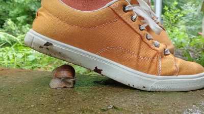 My favorite under heel crush of 2024