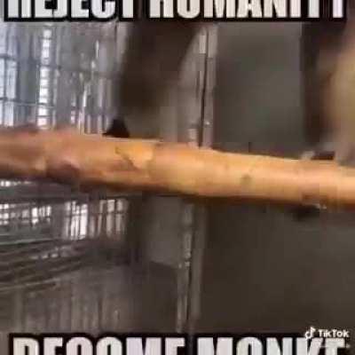 Go back i want to be a monke