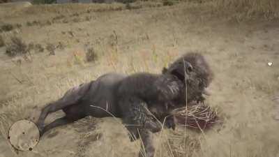 Found this when I was browsing my old posts... Does this technically count?