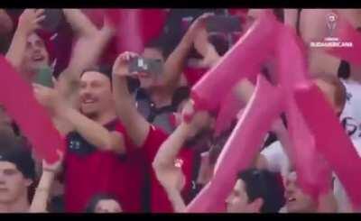 Los palmeras > The Weeknd