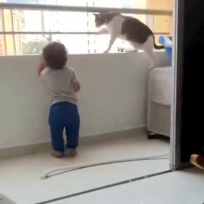 Cat looks after child