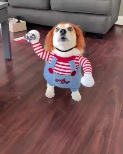 the costume is so real