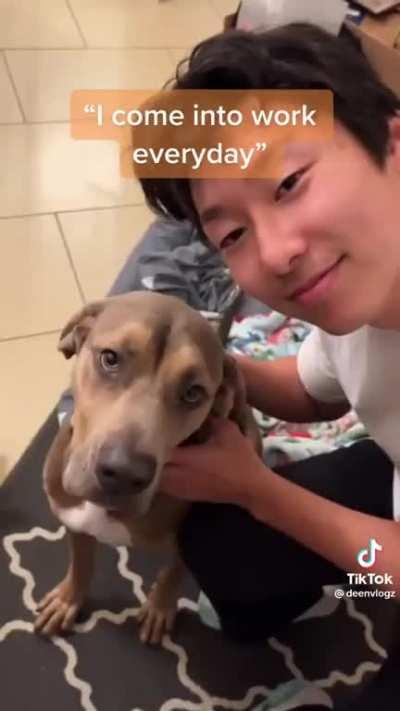 why would u name your dog that