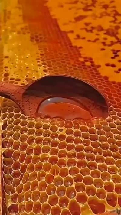 Deve ser tão satisfatório provar o melhor natural direto da colmeia.