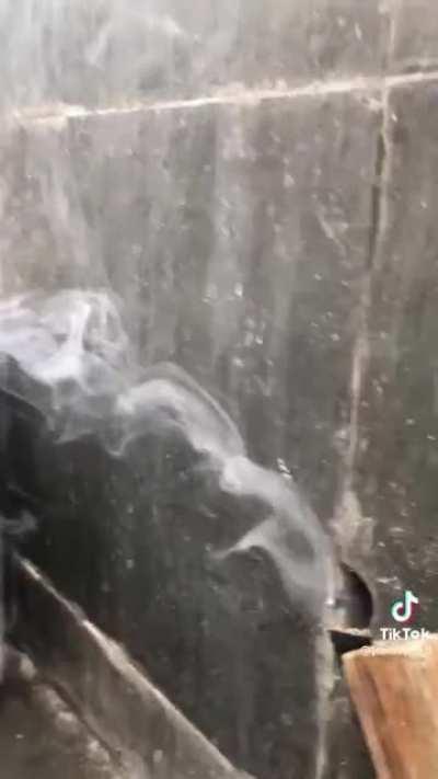 Rato fumantes fodasi