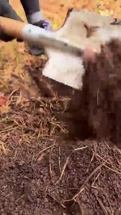 EMSK most of this shit just in case of apocalypse...of if you become homeless for some other reason.