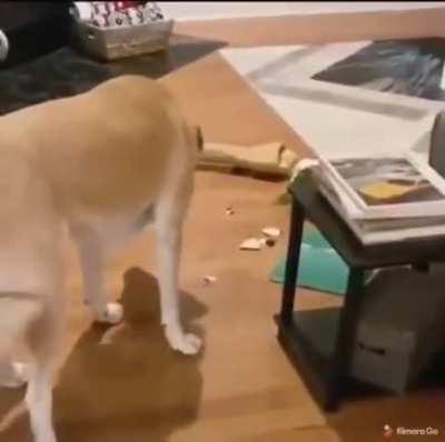 Oh shit. What I have done! Sorry