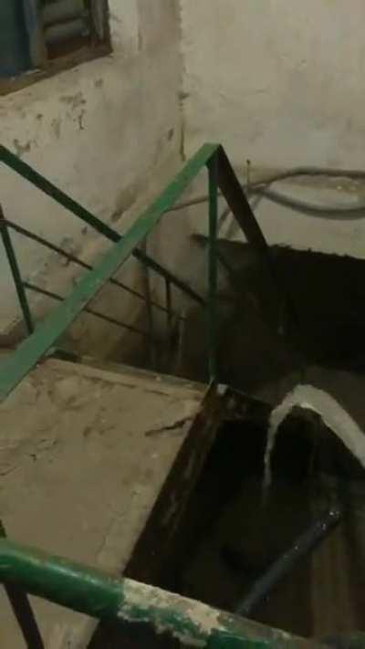 Rat Empire soldiers when the territory is invaded: