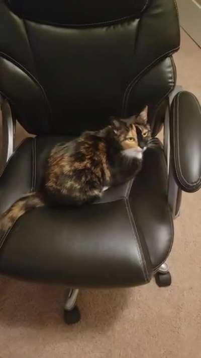 America's most wanted