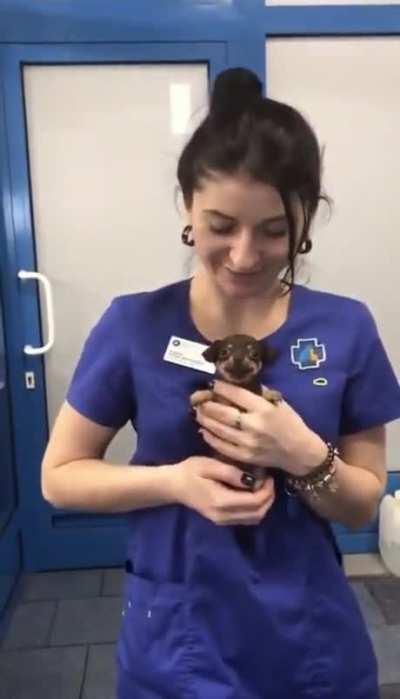 A handful of bleach.