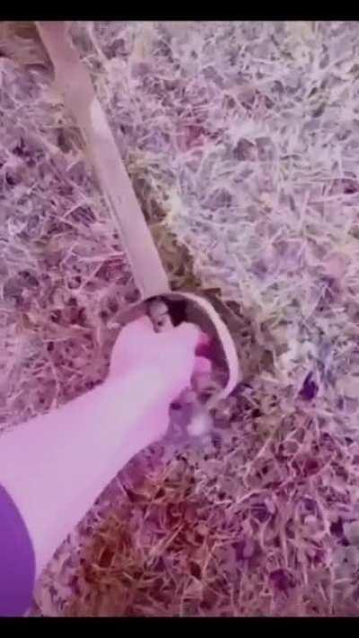 مغز من که رید تو رو نمیدونم😐