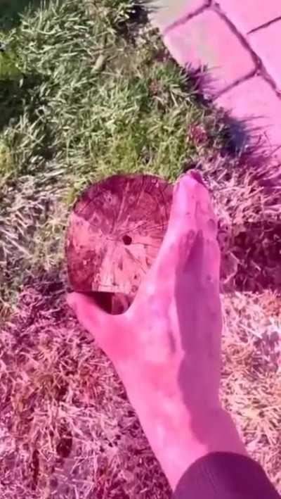 My mind got blown up