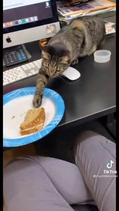 Touch all the things!