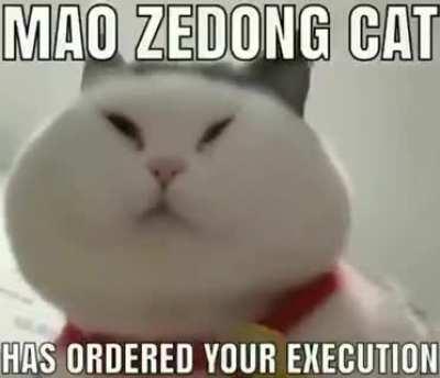 Did u just do a wrong think??